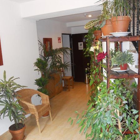 Hostal El Descanso Madrid Extérieur photo