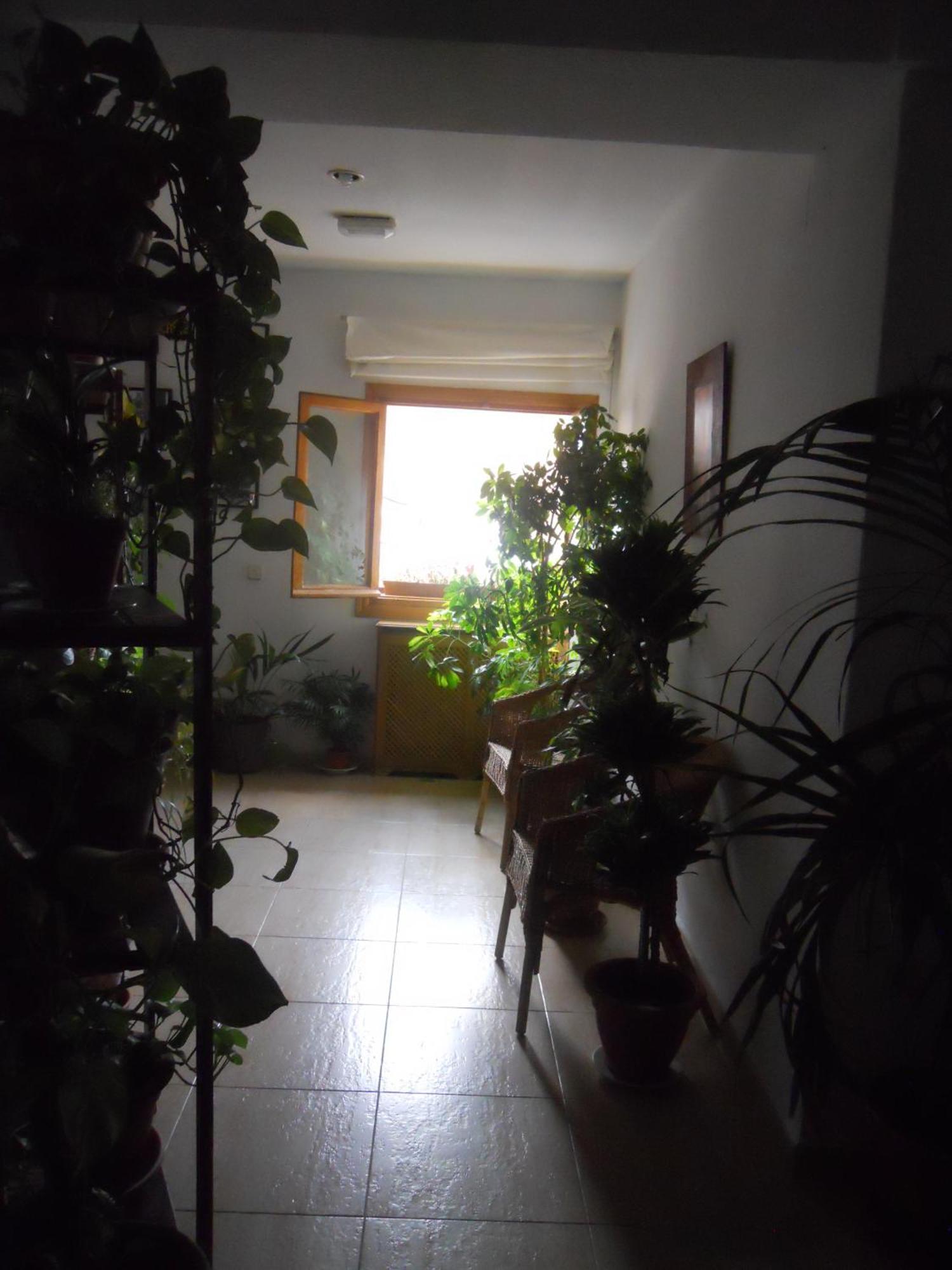 Hostal El Descanso Madrid Extérieur photo