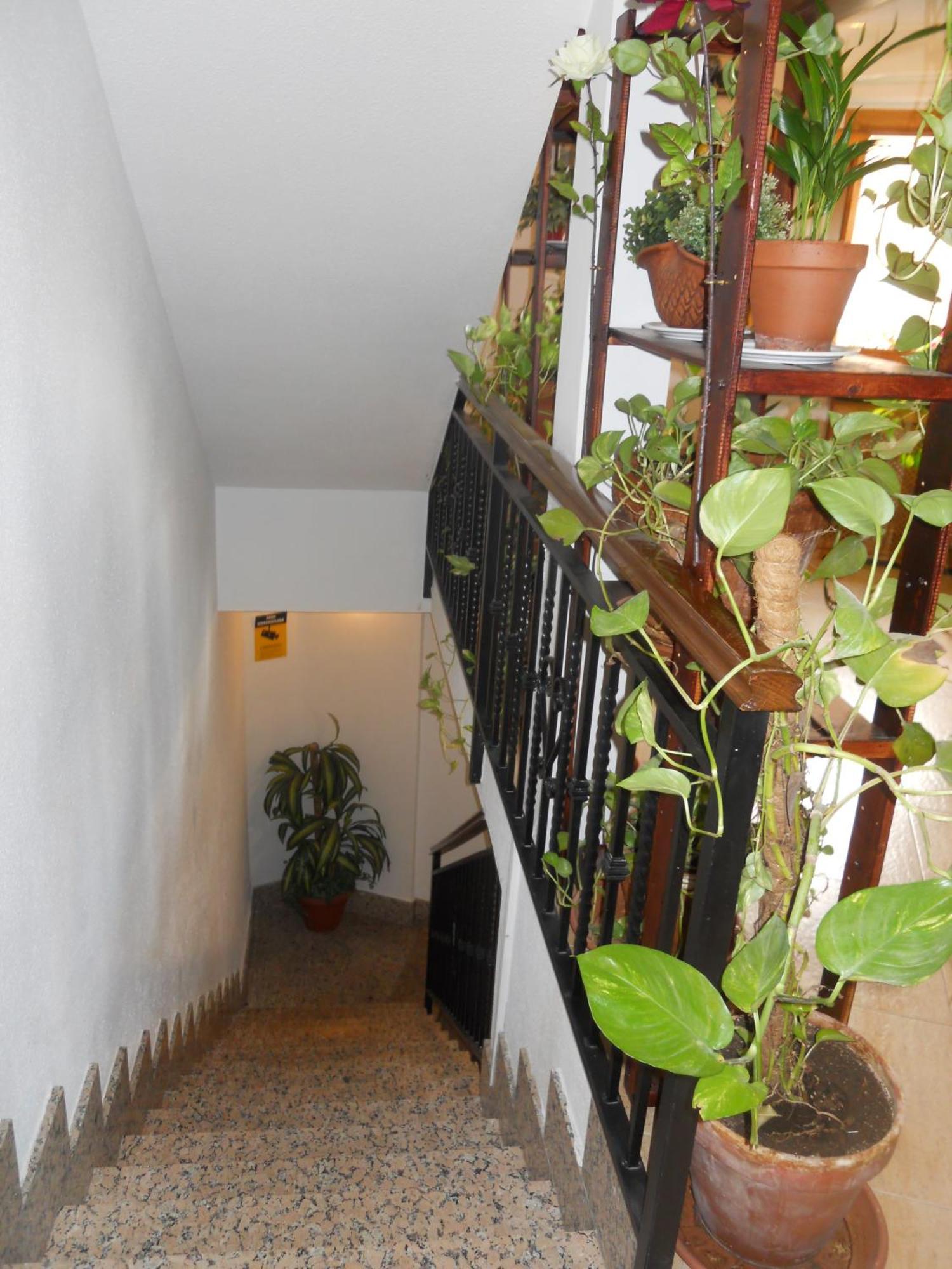 Hostal El Descanso Madrid Extérieur photo
