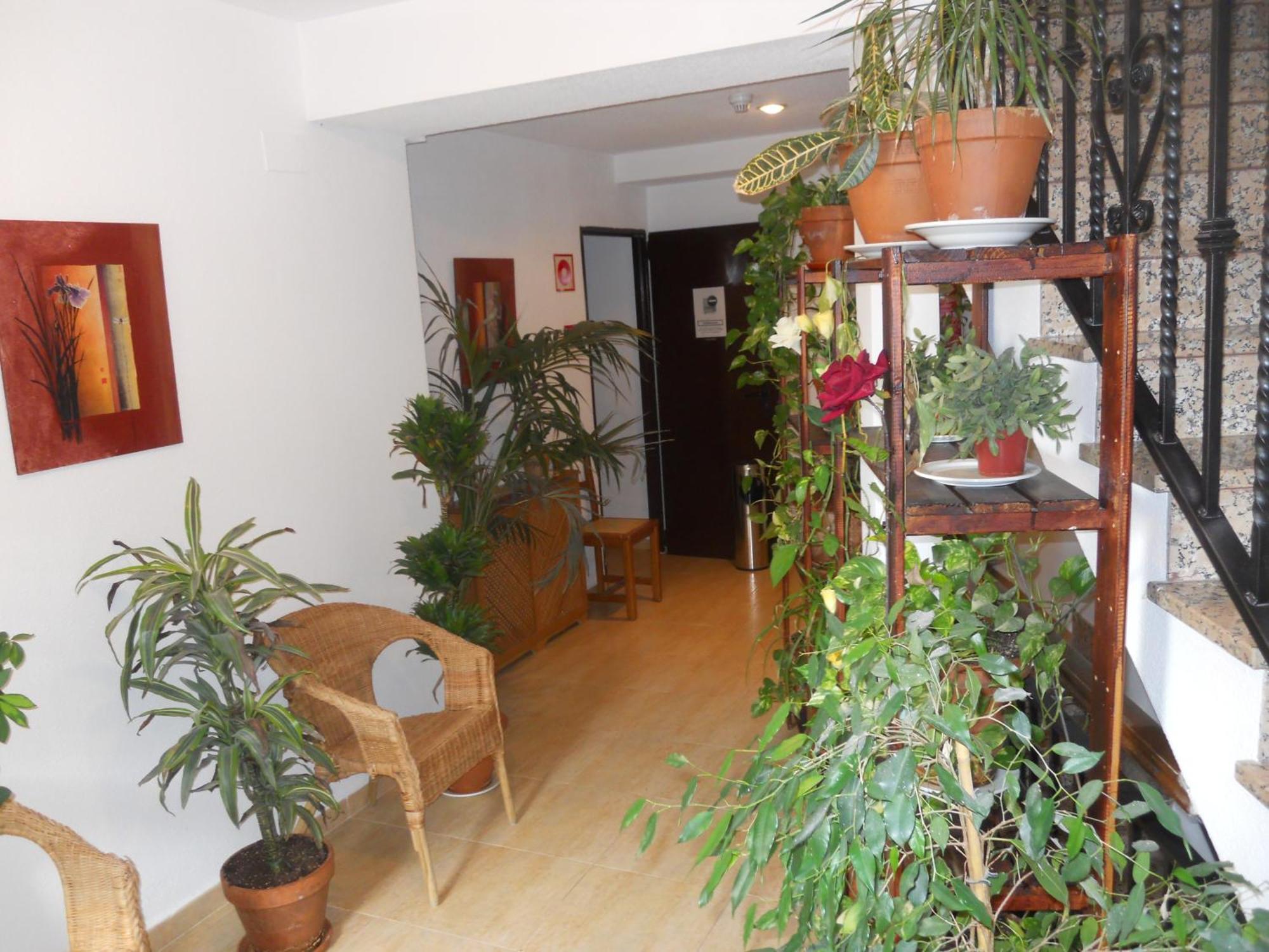 Hostal El Descanso Madrid Extérieur photo